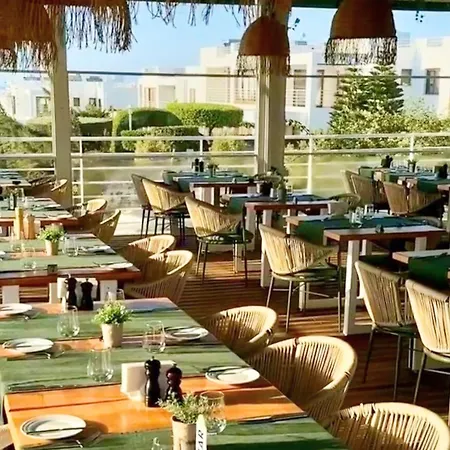 Pine Valley Cyprus Mup *