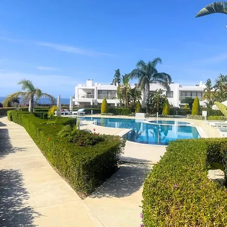 Pine Valley Cyprus Mup *