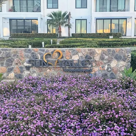 Pine Valley Cyprus Mup *