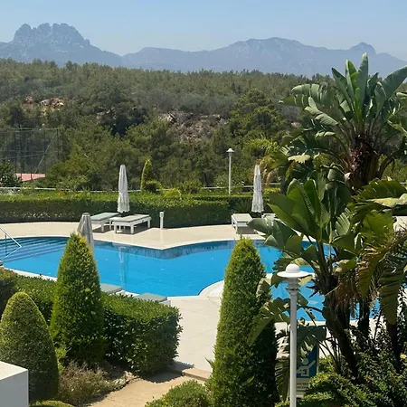 Pine Valley Cyprus Mup