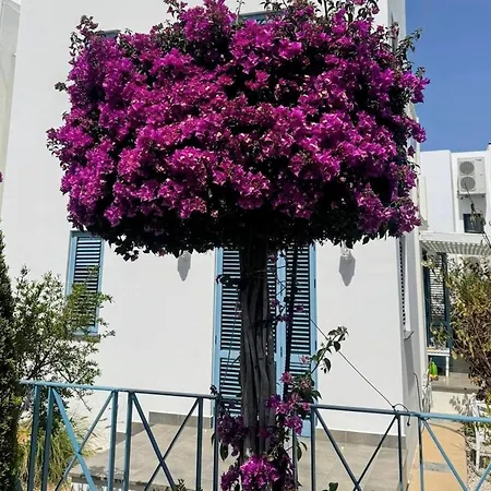 Pine Valley Cyprus Mup * Agios Georgios (Girne)