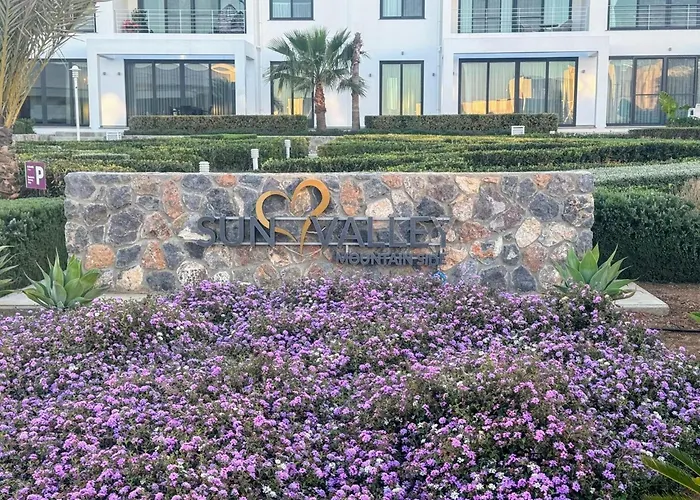 Pine Valley Cyprus Mup *