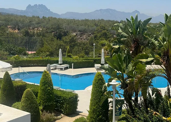 Pine Valley Cyprus Mup