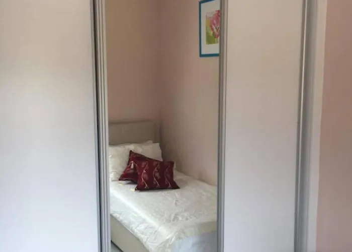 Pine Valley Cyprus Mup *